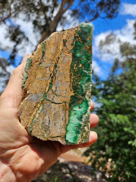 Polished Variscite   VP297