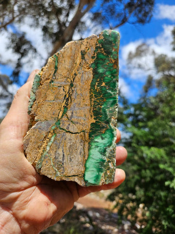 Polished Variscite   VP297
