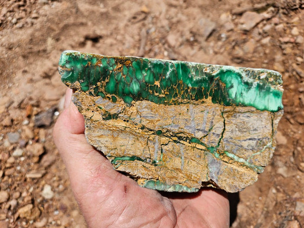 Polished Variscite   VP297