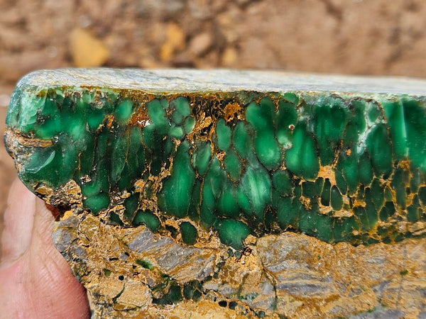 Polished Variscite   VP297