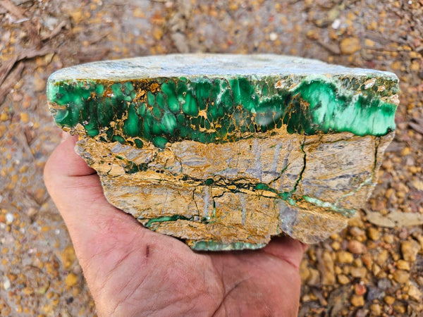 Polished Variscite   VP297