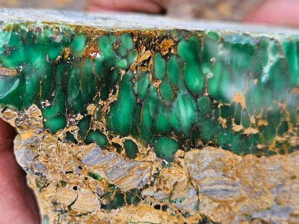 Polished Variscite   VP297