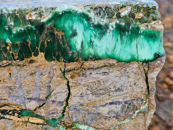 Polished Variscite   VP297