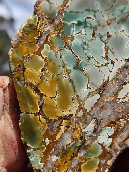 Polished Variscite   VP298