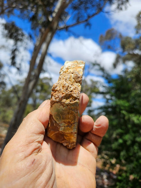 Polished Variscite   VP298