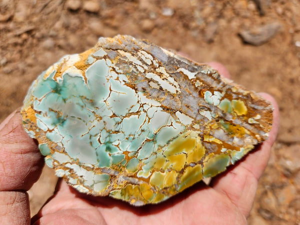 Polished Variscite   VP298