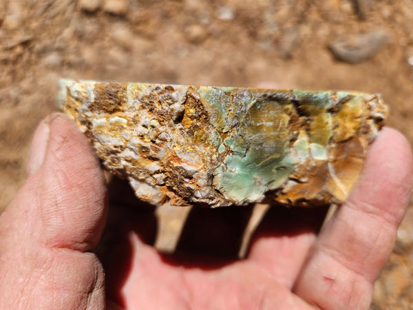 Polished Variscite   VP298