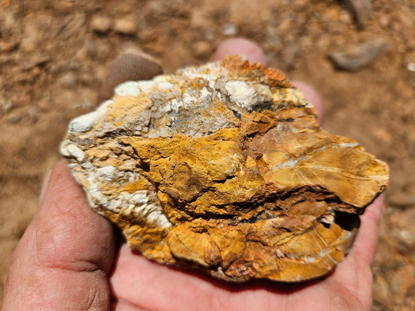 Polished Variscite   VP298