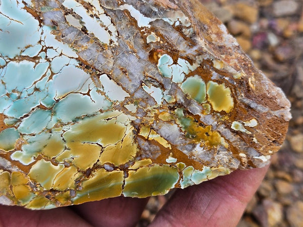 Polished Variscite   VP298