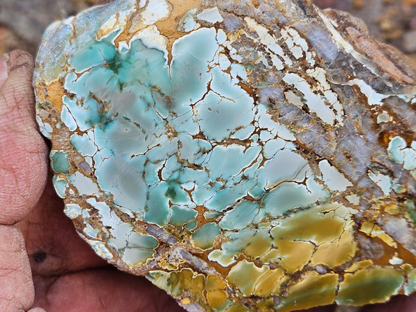 Polished Variscite   VP298