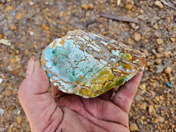 Polished Variscite   VP298