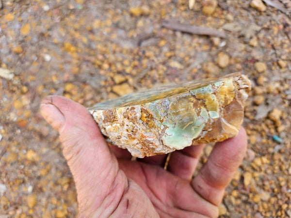 Polished Variscite   VP298