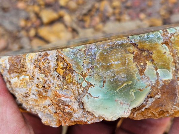 Polished Variscite   VP298