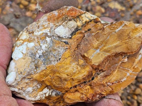 Polished Variscite   VP298