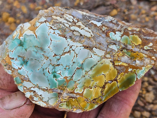 Polished Variscite   VP298