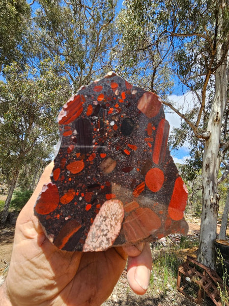 Polished Jelly Bean Jasper  JBJ355