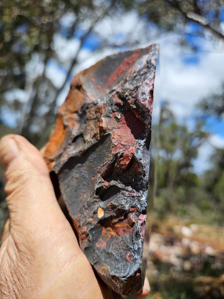 Polished Jelly Bean Jasper  JBJ355