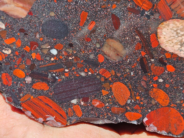 Polished Jelly Bean Jasper  JBJ355