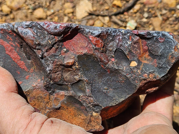 Polished Jelly Bean Jasper  JBJ355