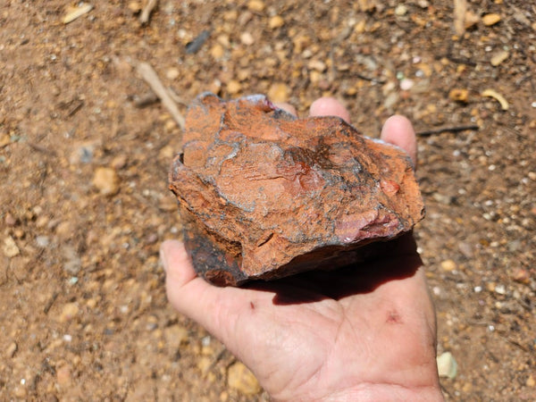 Polished Jelly Bean Jasper  JBJ355