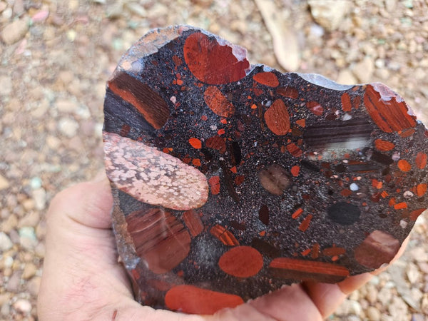 Polished Jelly Bean Jasper  JBJ355