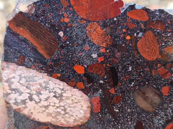 Polished Jelly Bean Jasper  JBJ355