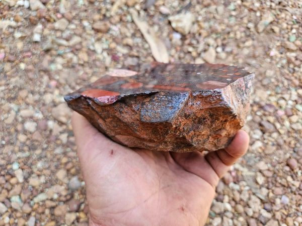 Polished Jelly Bean Jasper  JBJ355