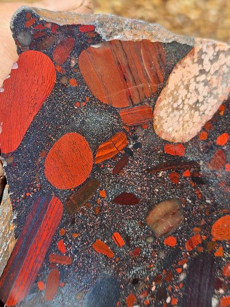 Polished Jelly Bean Jasper  JBJ355