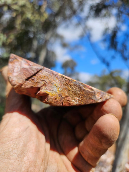 Sunset Jasper polished  SU194
