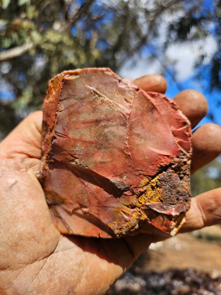 Sunset Jasper polished  SU194