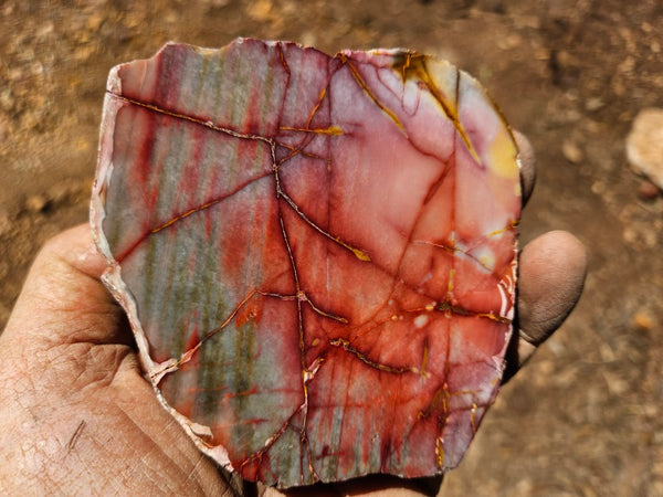 Sunset Jasper polished  SU194