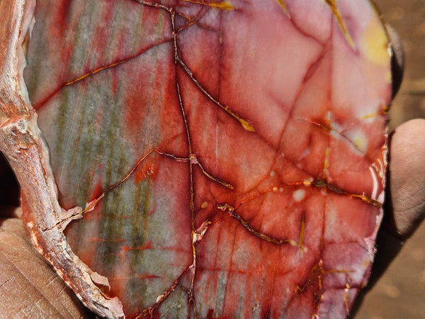 Sunset Jasper polished  SU194