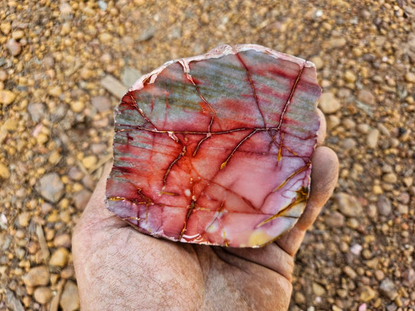 Sunset Jasper polished  SU194
