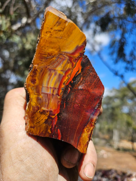 Sunset Jasper polished  SU195