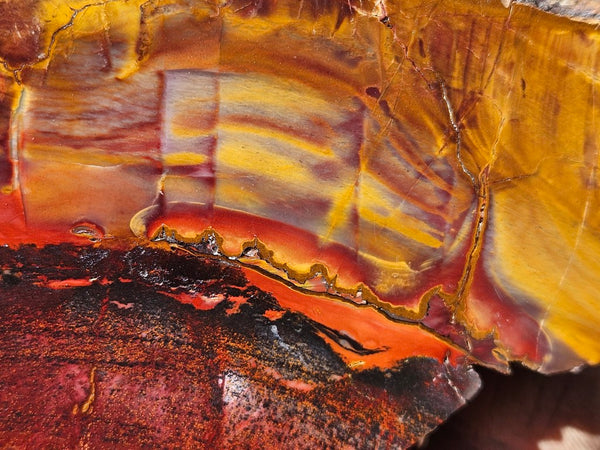 Sunset Jasper polished  SU195