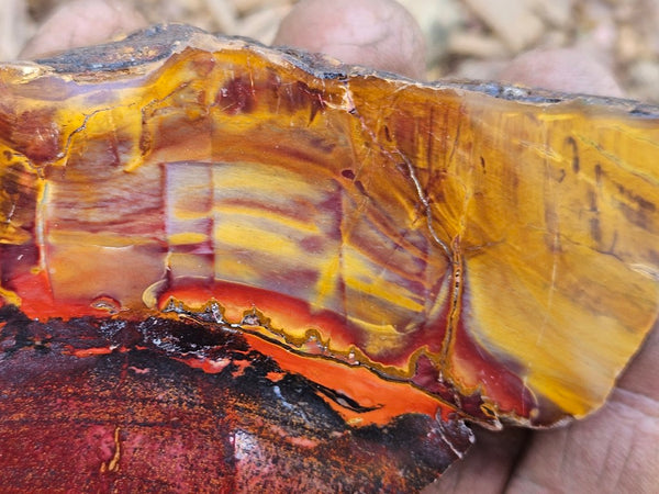 Sunset Jasper polished  SU195