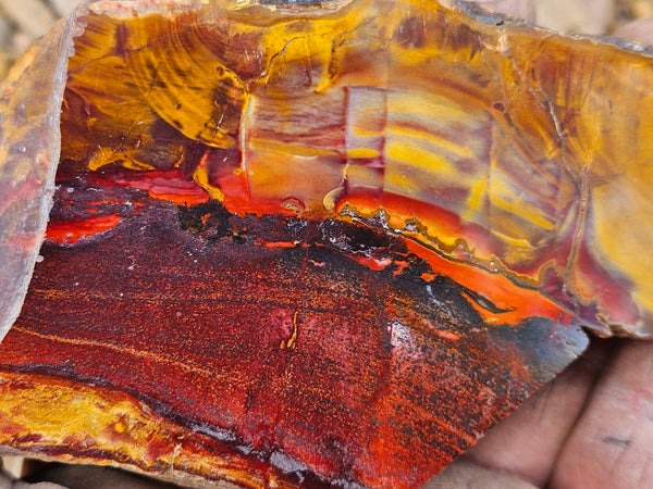 Sunset Jasper polished  SU195