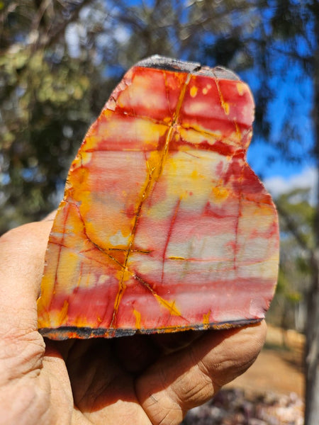Sunset Jasper polished  SU196