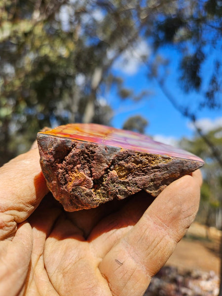 Sunset Jasper polished  SU196