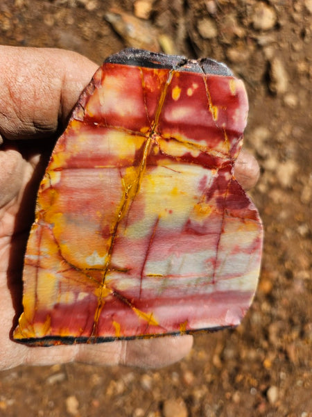 Sunset Jasper polished  SU196