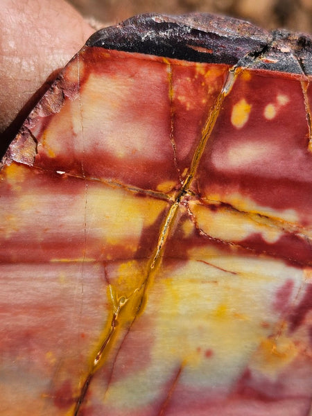 Sunset Jasper polished  SU196