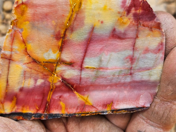 Sunset Jasper polished  SU196