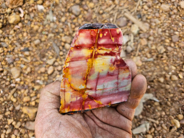 Sunset Jasper polished  SU196