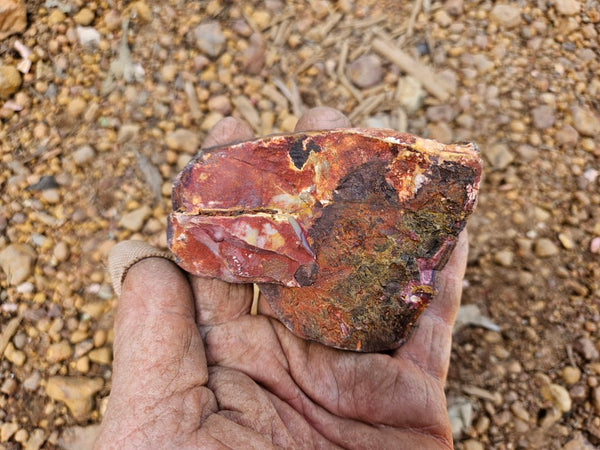 Sunset Jasper polished  SU196