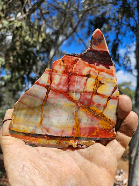 Sunset Jasper polished slab SU197