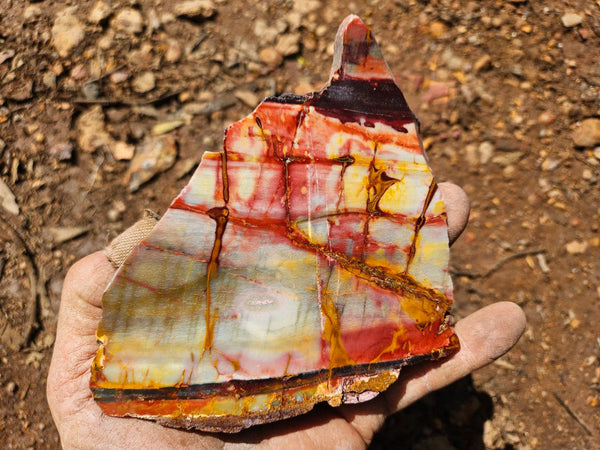 Sunset Jasper polished slab SU197