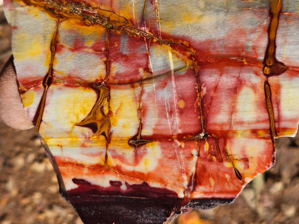 Sunset Jasper polished slab SU197