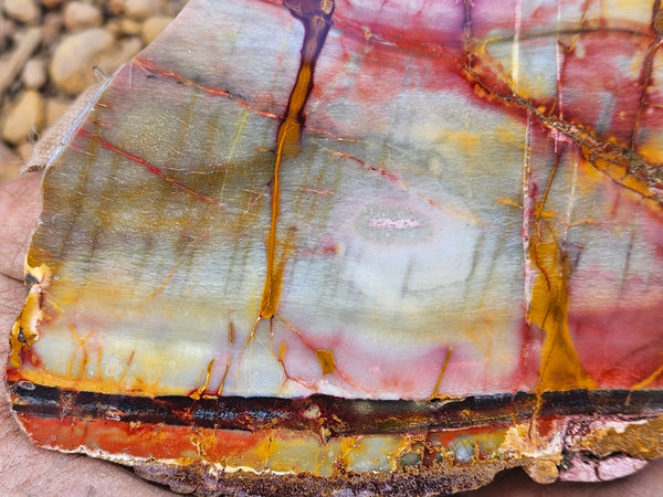 Sunset Jasper polished slab SU197