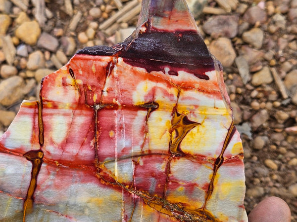 Sunset Jasper polished slab SU197