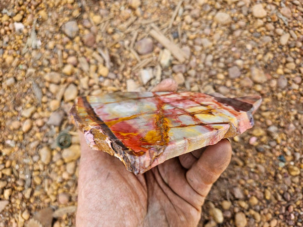 Sunset Jasper polished slab SU197